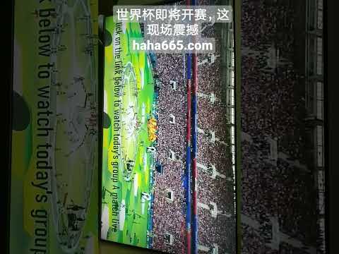 国足亚洲杯,展望,全面出击,开云体育官网,开云App下载,开云体育直播,开云娱乐,开云平台